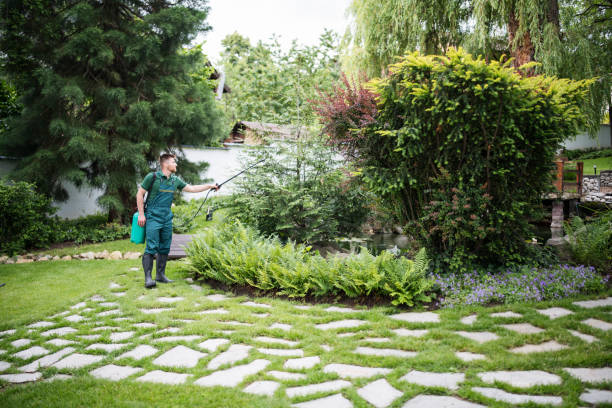 Best Local Pest Control Services  in Gaffney, SC