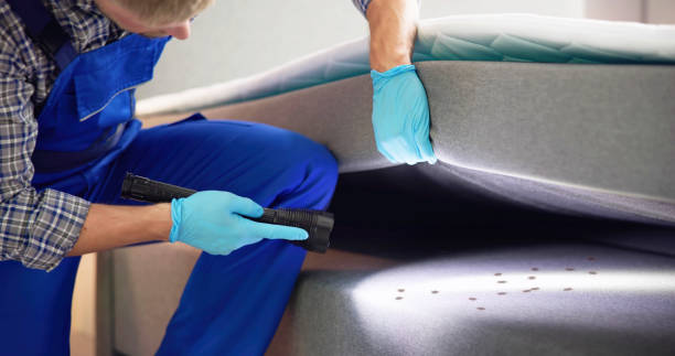Best Affordable Pest Control Services  in Gaffney, SC