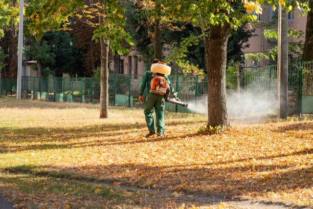 Pest Control for Restaurants in Gaffney, SC
